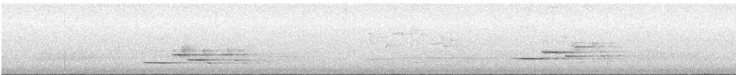 Hermit Thrush - ML229355031