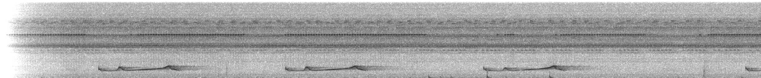 Silky-tailed Nightjar - ML229360