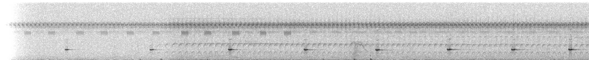 Small-billed Tinamou - ML229408