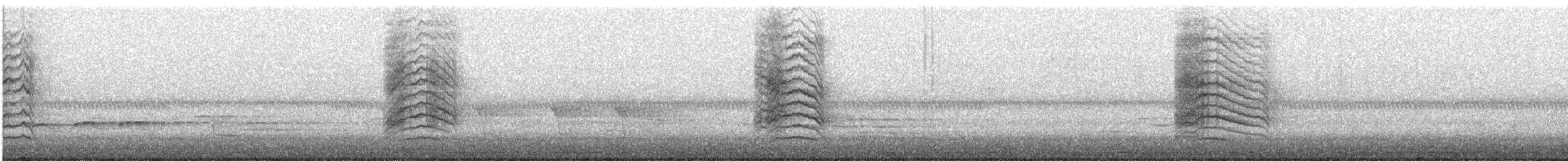 Gray Catbird - ML229437421