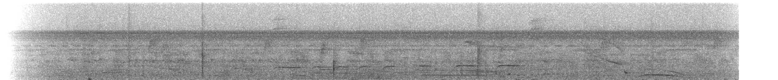 Ятла чорновола (підвид occidentalis) - ML229439