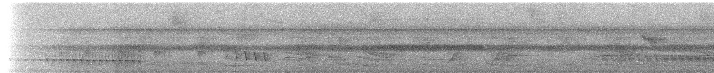 White-flanked Antwren (White-flanked) - ML229440