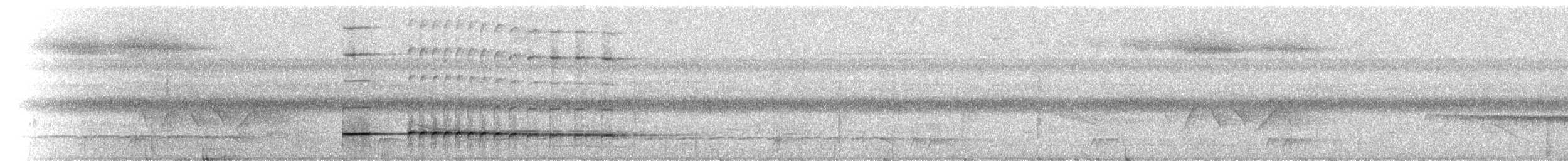 Tétéma coq-de-bois (groupe analis) - ML229456