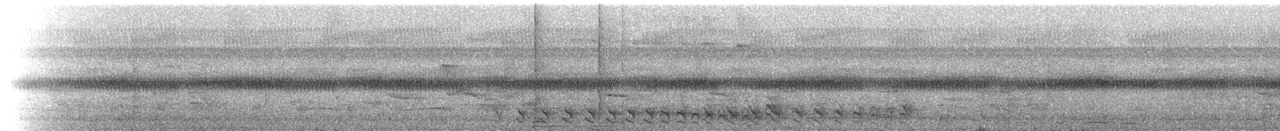 シマアリモズ（doliatus グループ） - ML229461