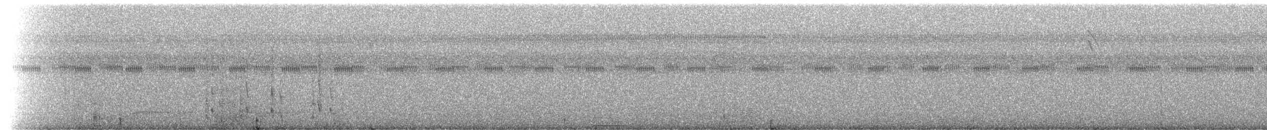 Schwefelbauch-Maskentyrann - ML229465