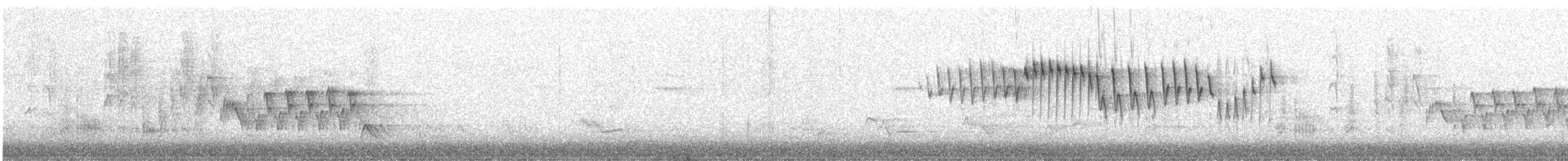 Orange-crowned Warbler - ML229472301