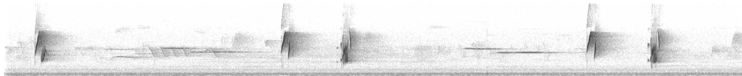 ハモンドメジロハエトリ - ML229489
