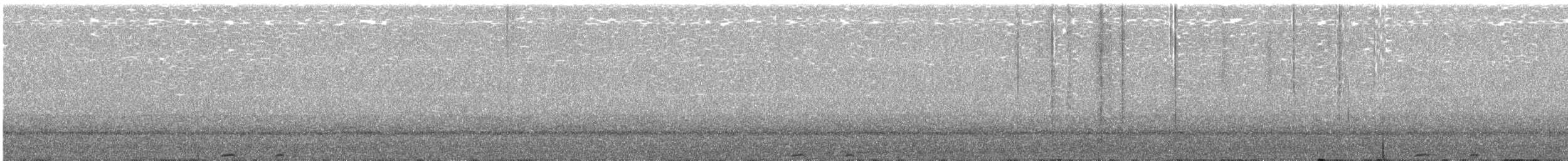 Lesson's Motmot - ML229515111