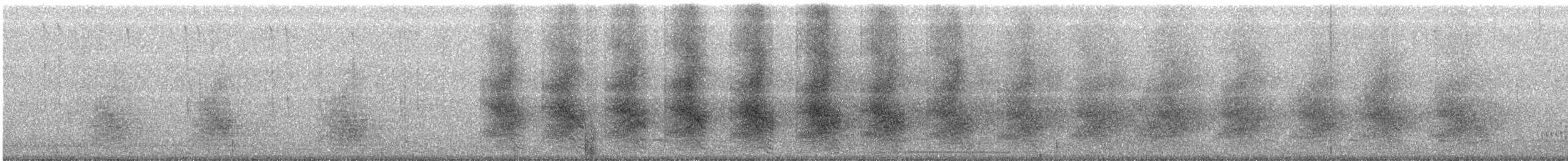 Chara de Steller (grupo coronata) - ML229529141