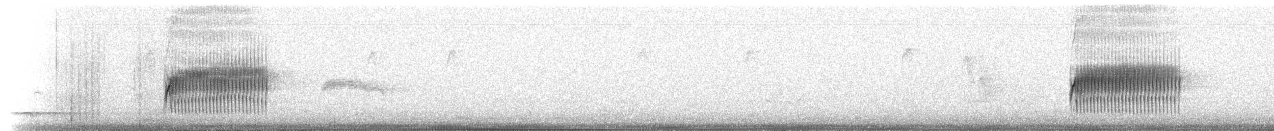 Тауї плямистий - ML229593