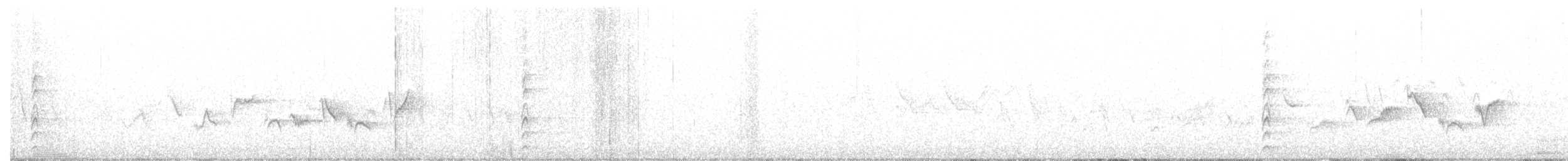 Warbling Vireo - ML229603881