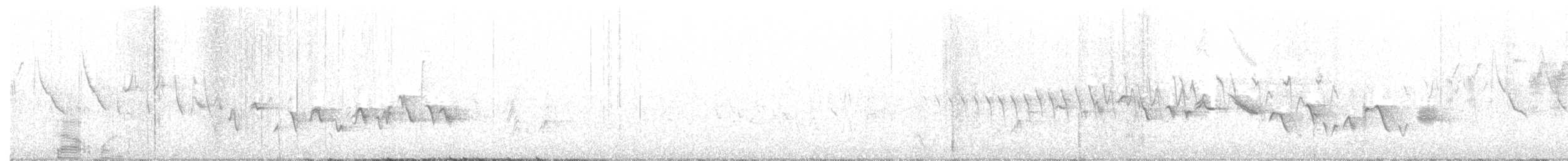 Lucy's Warbler - ML229604231