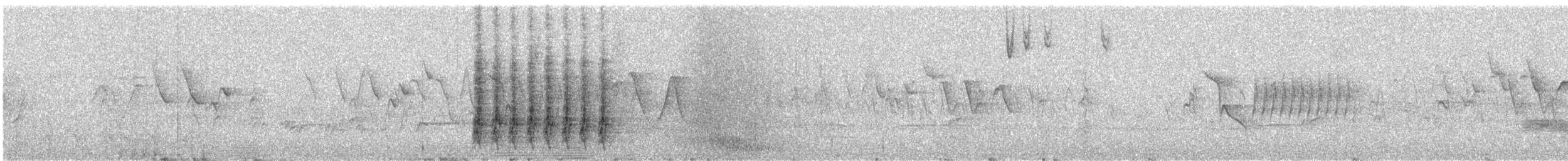 Steller Kargası [diademata grubu] - ML229673621