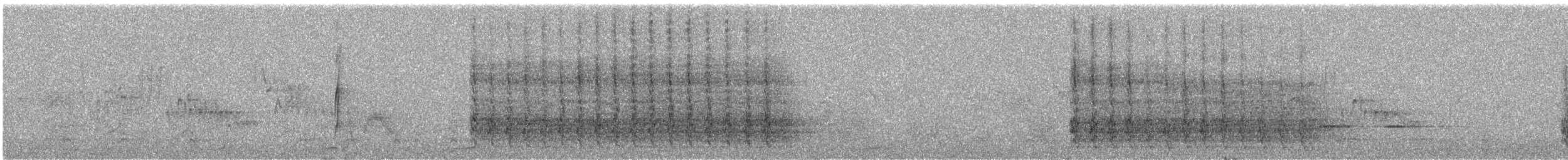 Steller Kargası [diademata grubu] - ML229675571