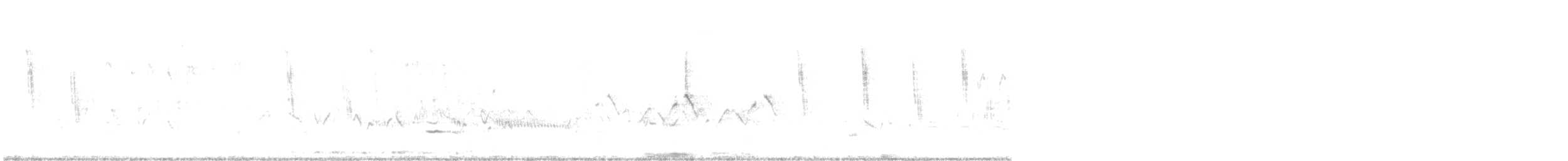 Sedge Wren - ML229694681