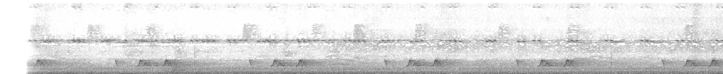 Chuck-will's-widow - ML229706671