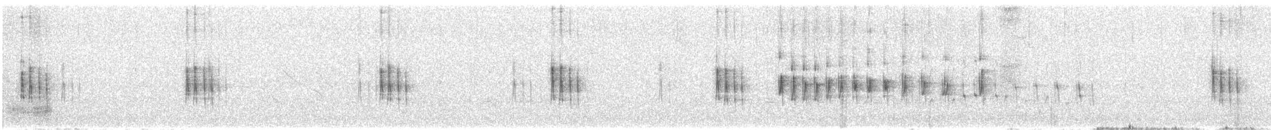 Тиранчик-довгохвіст білогорлий - ML229741381