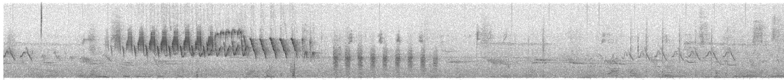 Northern Parula - ML229797731