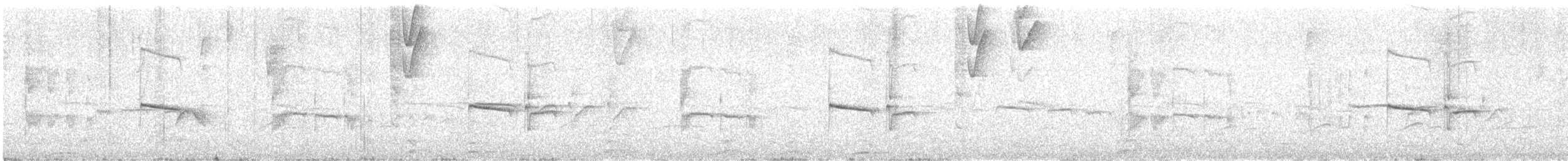 Тиранчик-тонкодзьоб південний - ML229813811