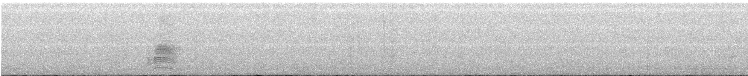 Тауї плямистий - ML229976911
