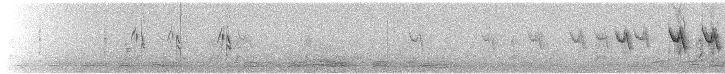 Welcome Swallow - ML229986531