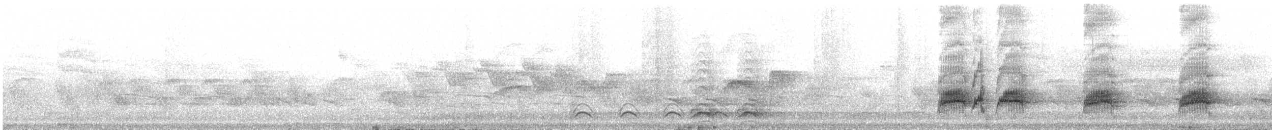 Хохлатый миарх - ML230021691