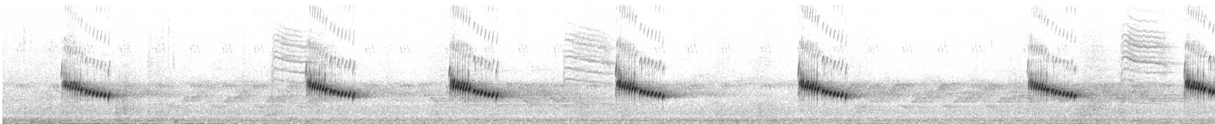 Каролинский крапивник - ML230024391