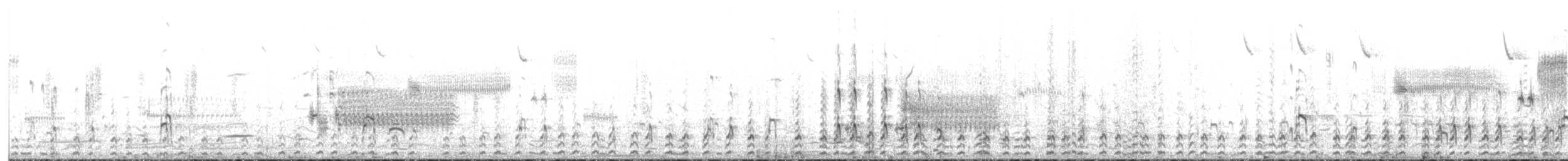 Braunhals-Säbelschnäbler - ML230029251