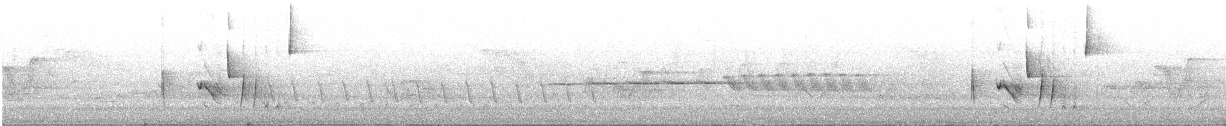 White-eyed Vireo - ML230038311