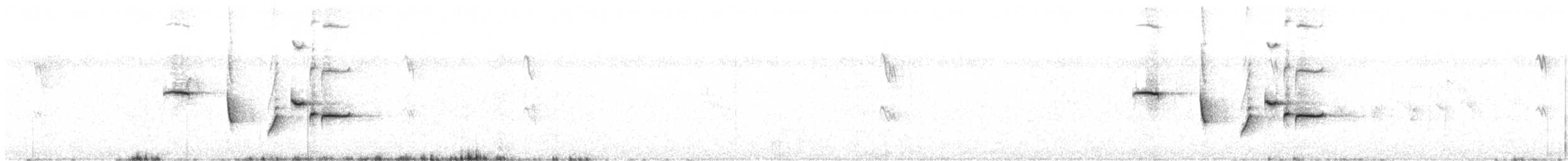 Tüpfelborstenvogel - ML230044411