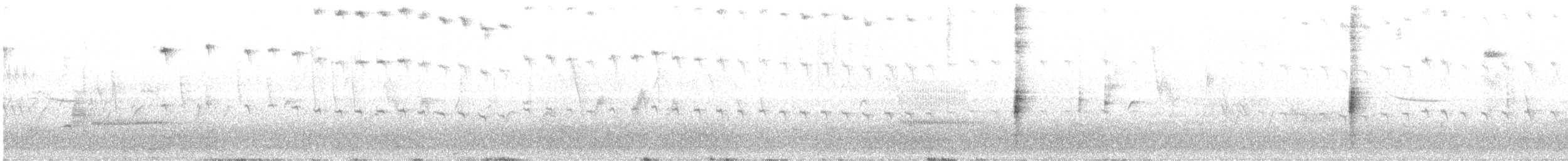 Rotflügelstärling [phoeniceus-Gruppe] - ML230058781
