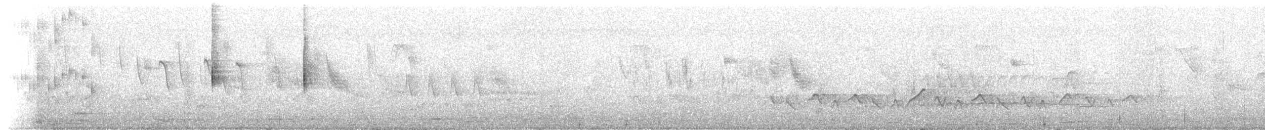Вилохвостый тиранн (savana) - ML230078