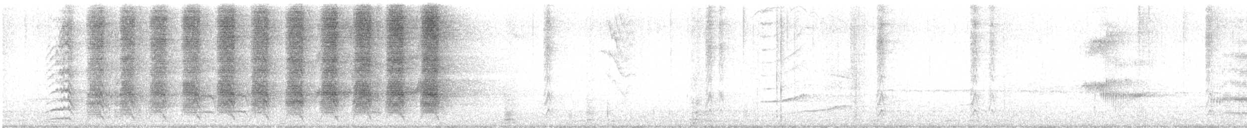 White-fronted Amazon - ML230100871