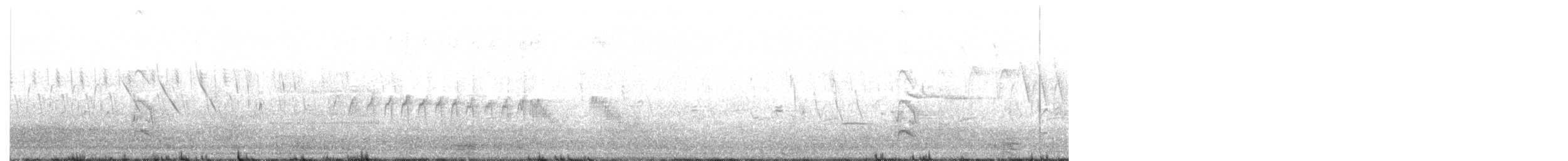 Virginia Rail - ML230109391