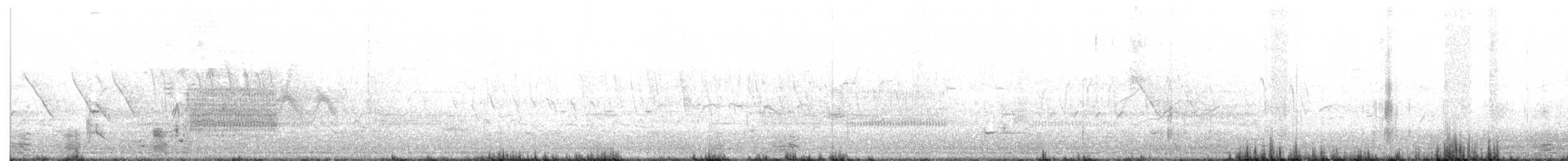 Virginia Rail - ML230109411