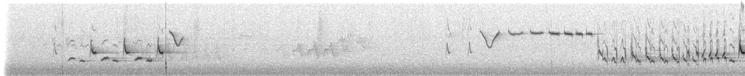 Золотомушка рубіновочуба - ML230112