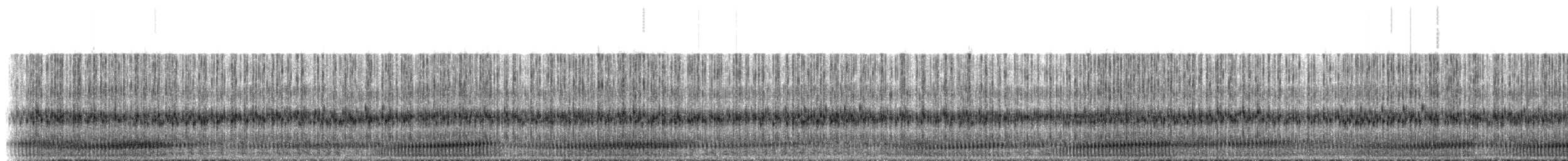 Southern Crawfish Frog - ML230113