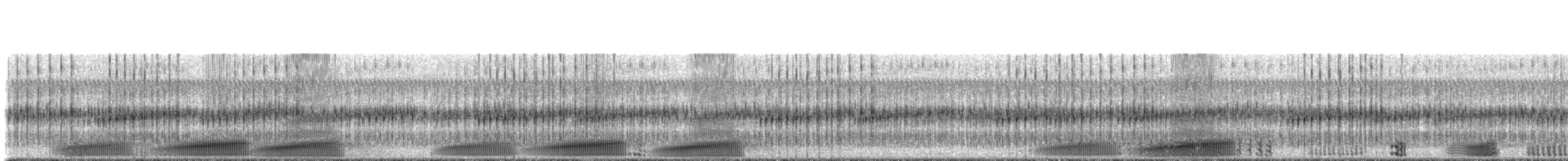 Southern Crawfish Frog - ML230115