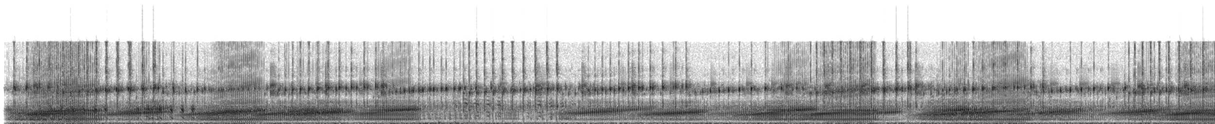 Southern Crawfish Frog - ML230116