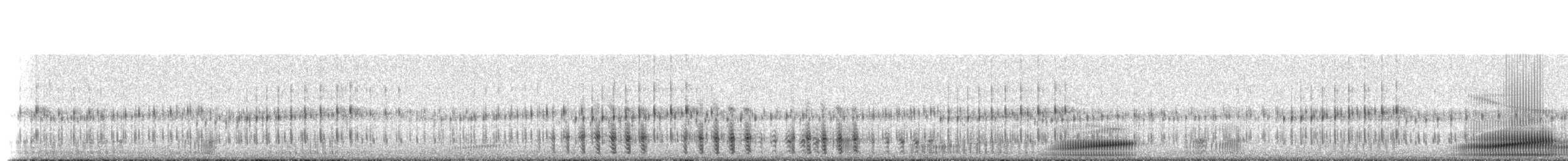 Southern Crawfish Frog - ML230117