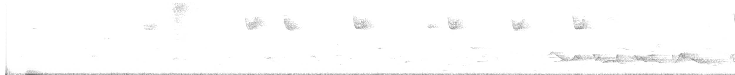 Weißkehlammer - ML230121451