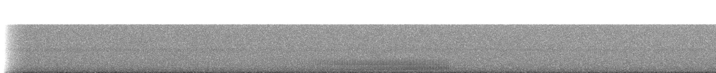 Pickerel Frog - ML230128