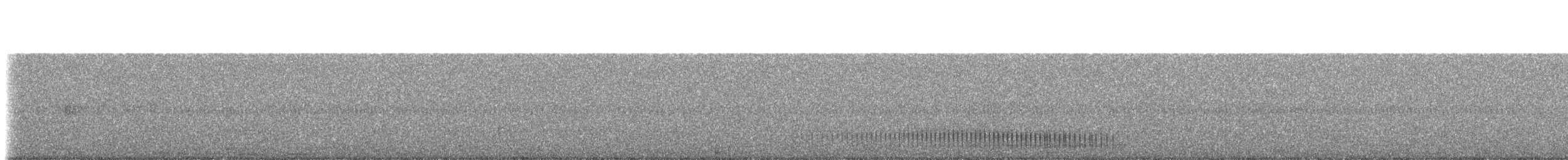 Pickerel Frog - ML230129