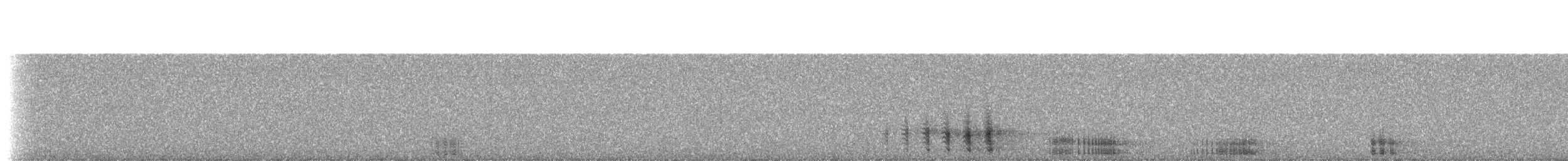 Pickerel Frog - ML230130