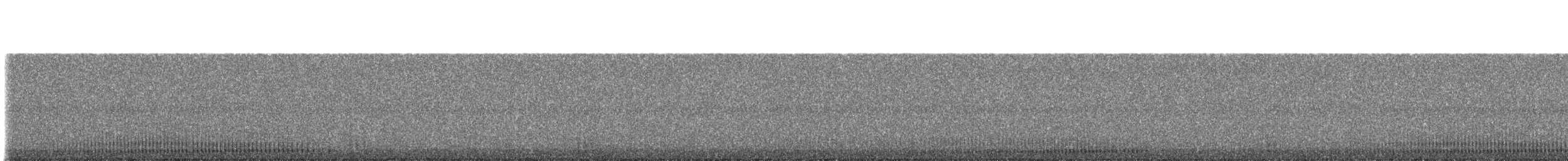 Pickerel Frog - ML230131