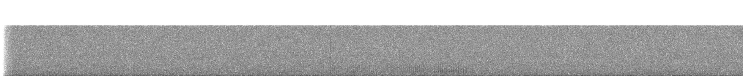 Pickerel Frog - ML230132