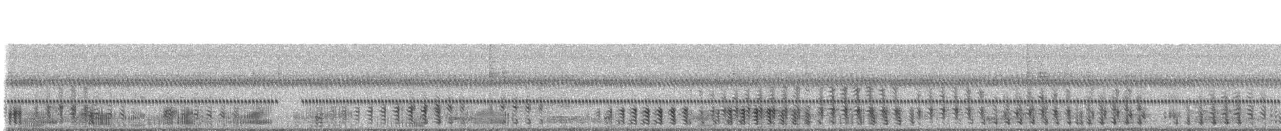 Southern Leopard Frog - ML230137