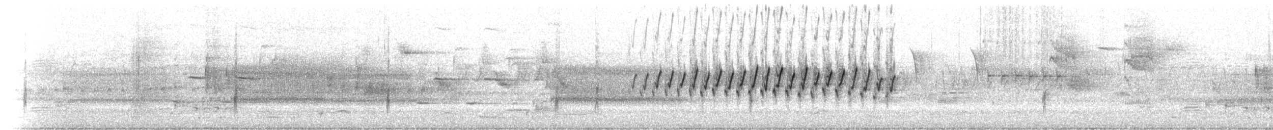 Kiefernwaldsänger - ML230138101