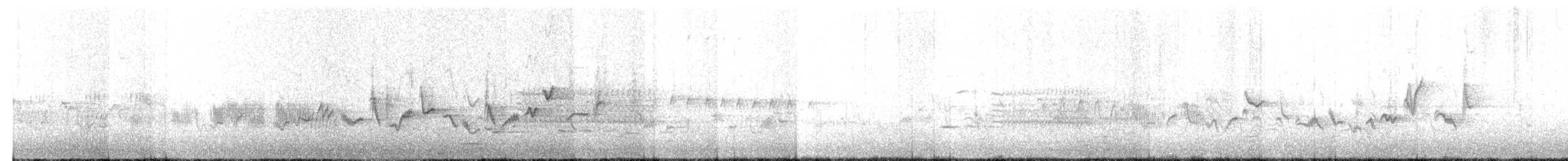 Віреон світлобровий (підвид gilvus) - ML230144771
