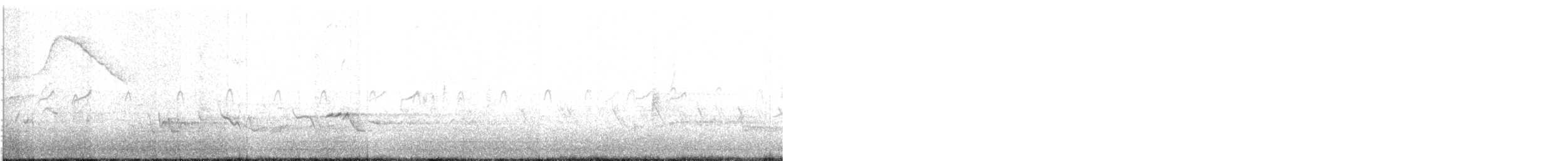 Улит-отшельник (solitaria) - ML230148671